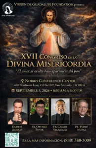 XVII Congreso DM 2026 Poster