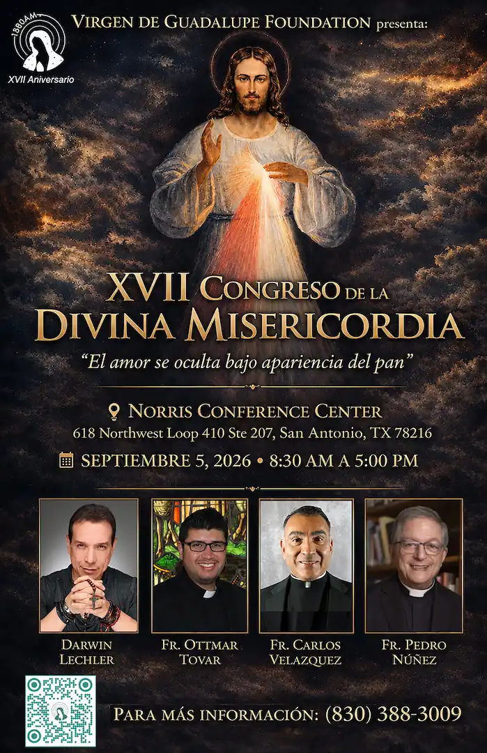 XVII Congreso DM 2026 Poster
