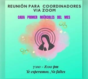 Evento VGM Reunion de Coordinadores via Zoom 2025